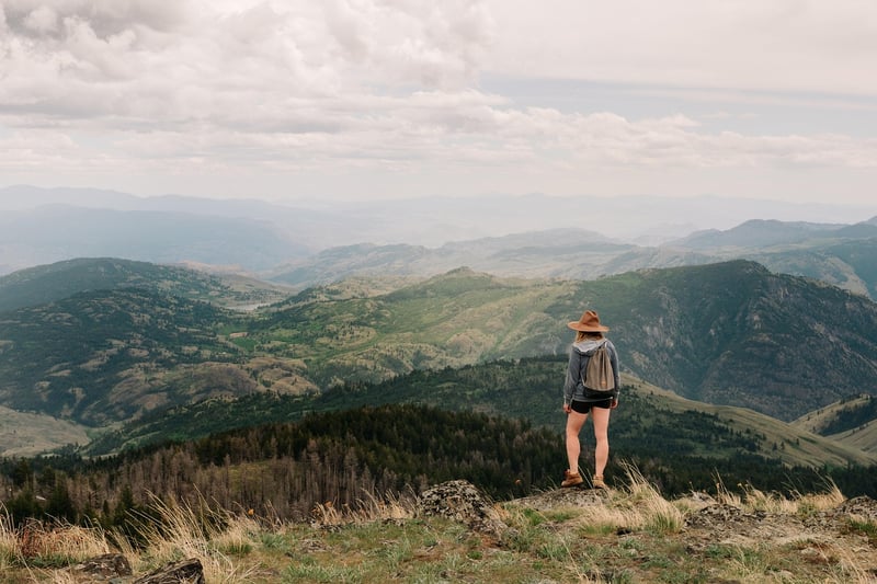 Hiker in the forest